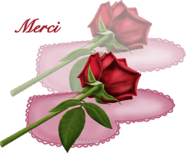 Merci pour vos roses